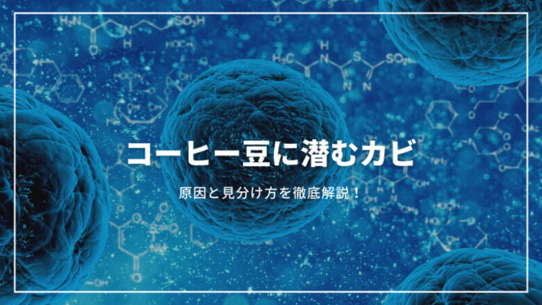 【保存版】コーヒー豆にカビ？その根本的な原因から見分け方まで徹底解説