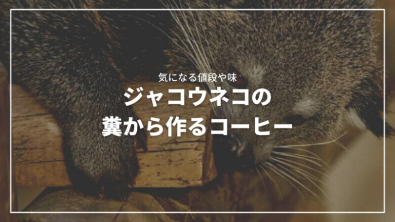 ジャコウネコの糞から作られるコーヒーとは？気になる値段から味まで