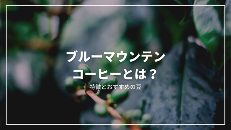 【最新】ブルーマウンテンコーヒーとは？特徴からおすすめの豆までご紹介