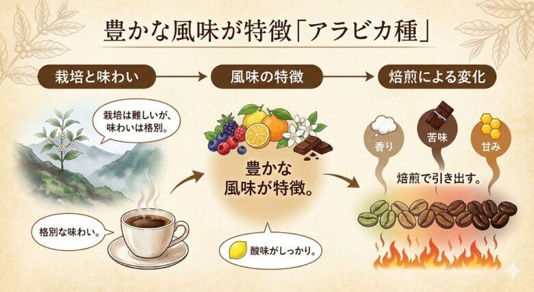 1. 豊かな風味が特徴「アラビカ種」
