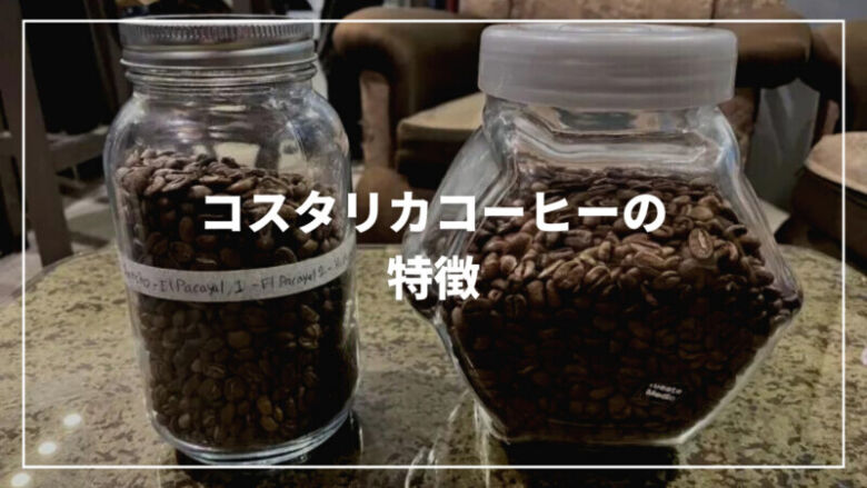 【うまい？】コスタリカコーヒーの特徴とは？歴史からおすすめまで紹介