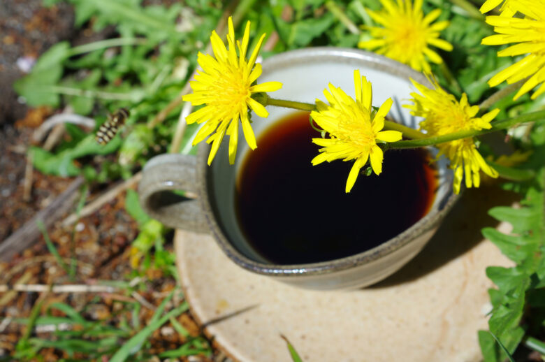 たんぽぽコーヒー