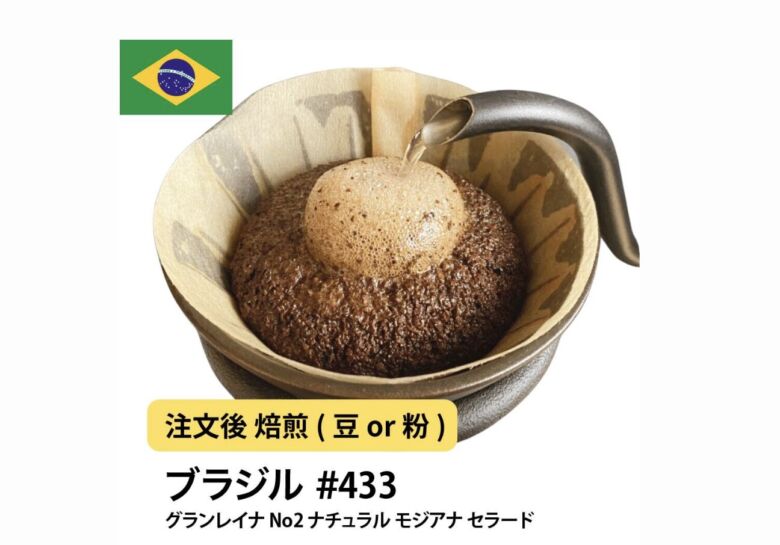 大山珈琲 ザンビア グランレイナ No2 ナチュラル モジアナ セラード