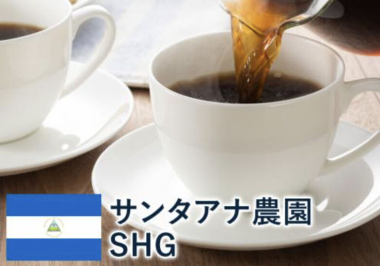 青海スペシャリティ珈琲 ニカラグア産コーヒー豆 サンタアナ農園 SHG