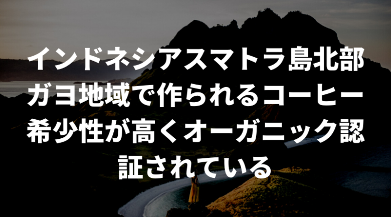 ガヨマウンテンとは？