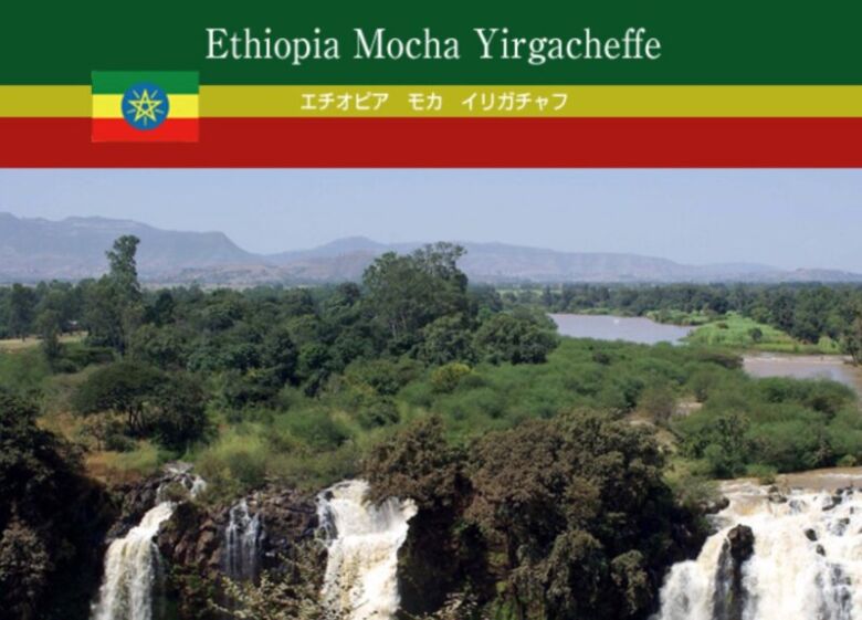 10位. フルーティーで爽やかな酸味「エチオピア　モカ　イリガチャフ（G-2）」