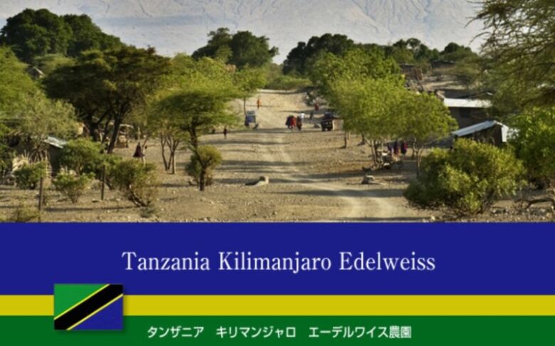 11位. 酸味と甘みのバランスが絶妙「タンザニア　キリマンジャロ　エーデルワイス農園」