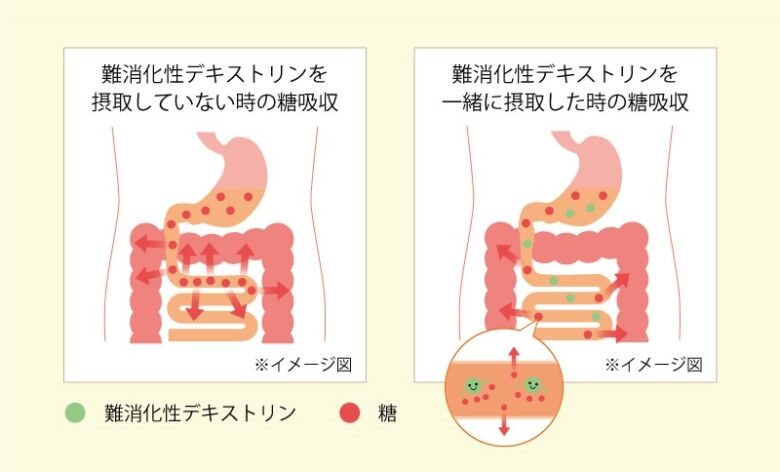 難消化性デキストリンの効果