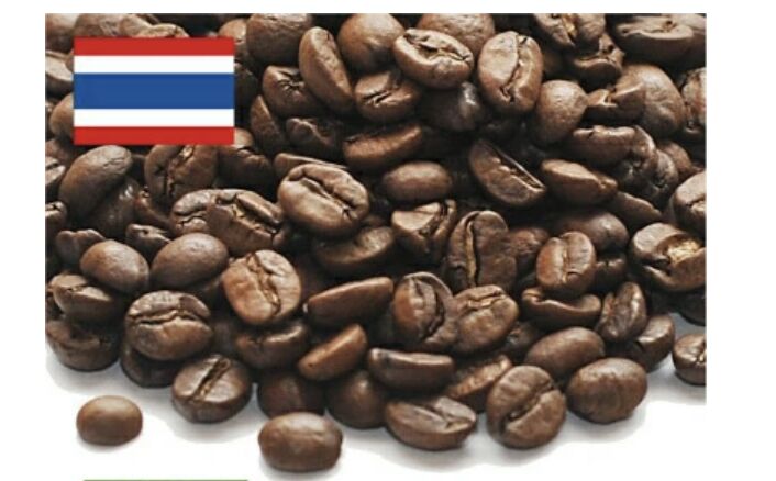 DRIP TRIP タイ サイアム ブルームーン