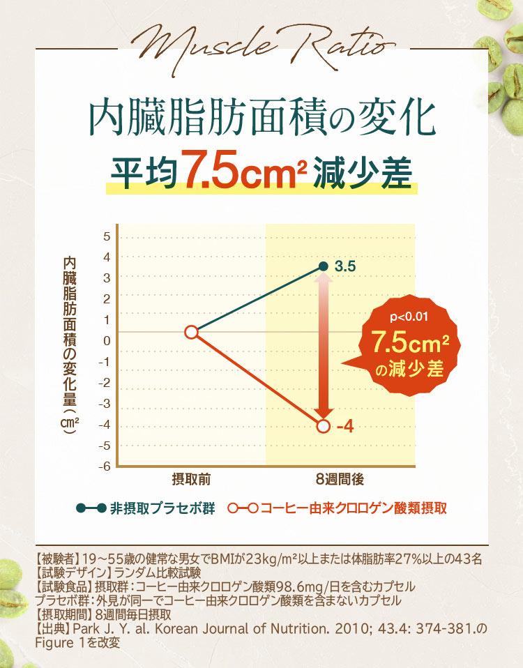 クロロゲン酸類による効果