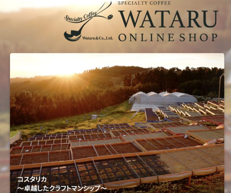 WATARU