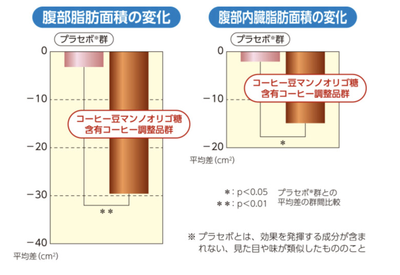 腹部脂肪面積や腹部内臓脂肪面積の減少を期待できる