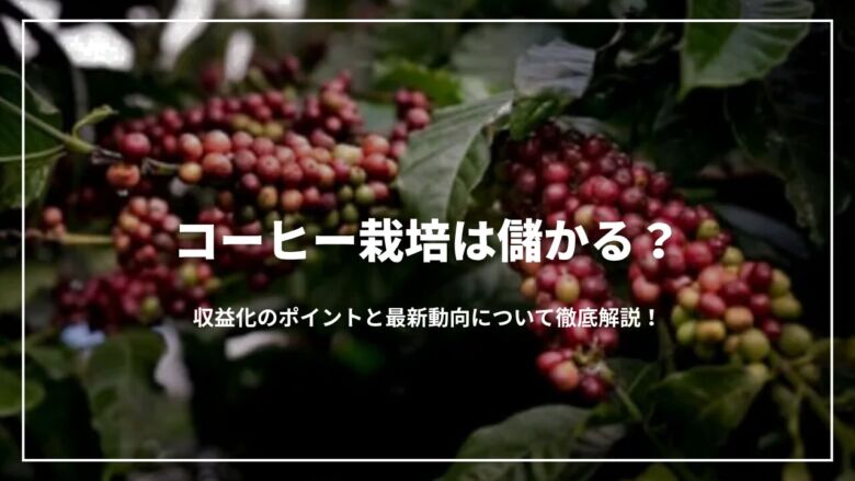 コーヒー栽培は儲かる？収益化のポイントと最新動向について徹底解説！