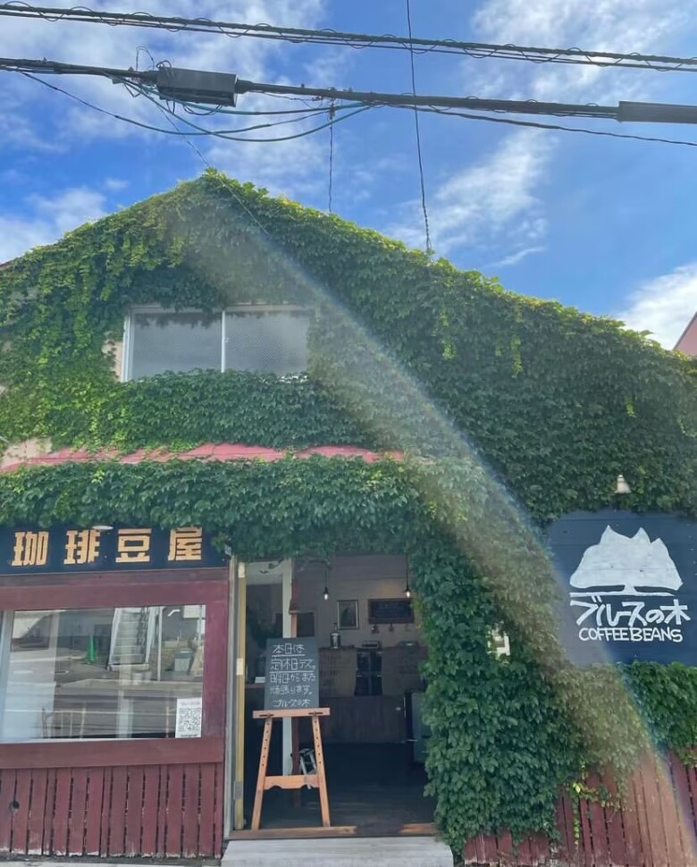 7. 【函館】ツタの這う外観が特徴的な珈琲屋さん「ブルースの木」