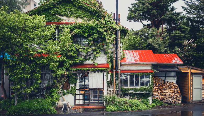 1. 札幌で最も有名な老舗カフェ「森彦」