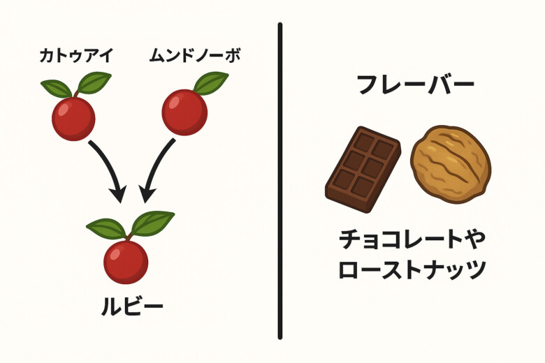 ルビー種の特徴