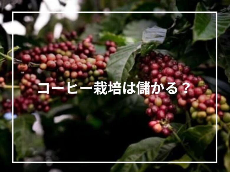 コーヒー栽培は儲かる？収益化のポイントと最新動向について徹底解説！