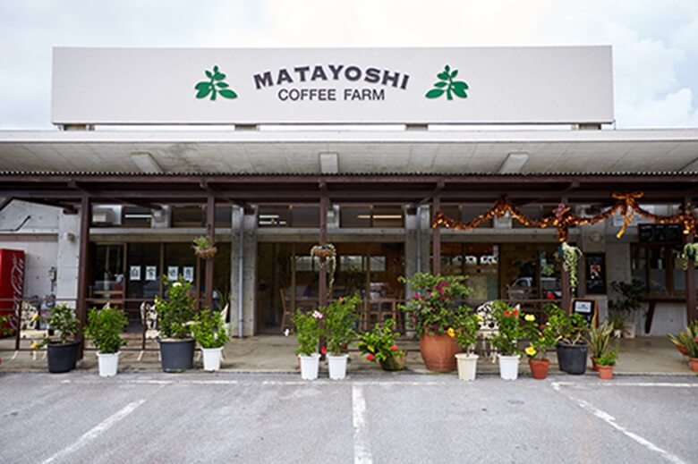 1. やんばるの自然を満喫「又吉コーヒー園」