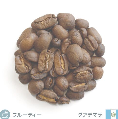 3.アプリコット・カシューナッツのなかに香るフローラルな味わい「グアテマラ ペニャブランカ農園」