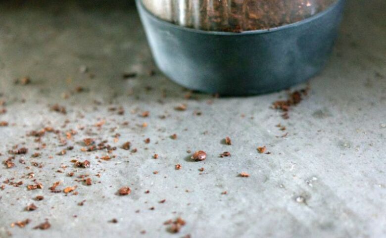 ステンレス刃とセラミック刃の違いを比較