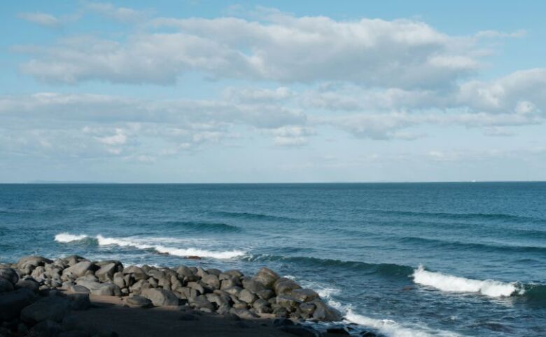 糸島で本格コーヒーが人気の理由