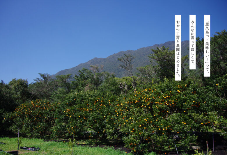 第6位：やくしま果鈴