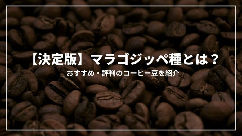 【決定版】マラゴジッペ種とは？おすすめ・評判のコーヒー豆6選を紹介