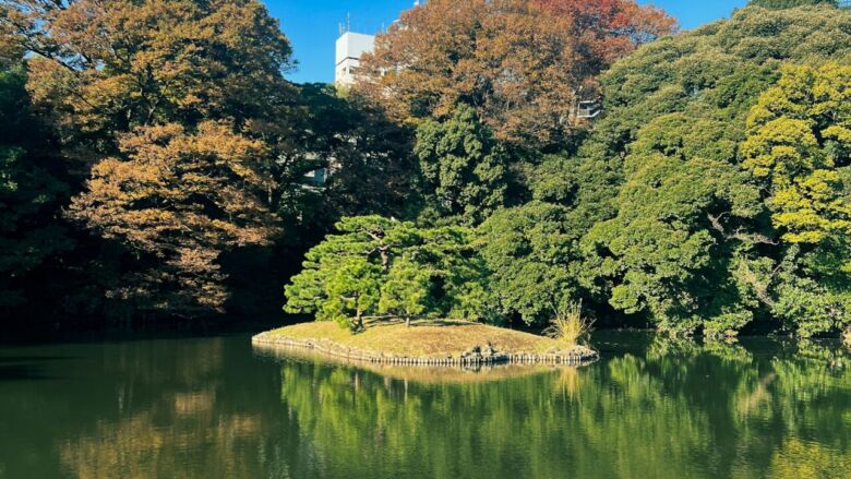 新宿の安くてお財布に優しい長居できるおすすめカフェ2選