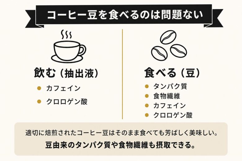 コーヒー豆を食べると飲むの違い・摂取できる成分の対比