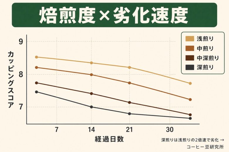 焙煎度×保存日数で見る劣化速度の違い