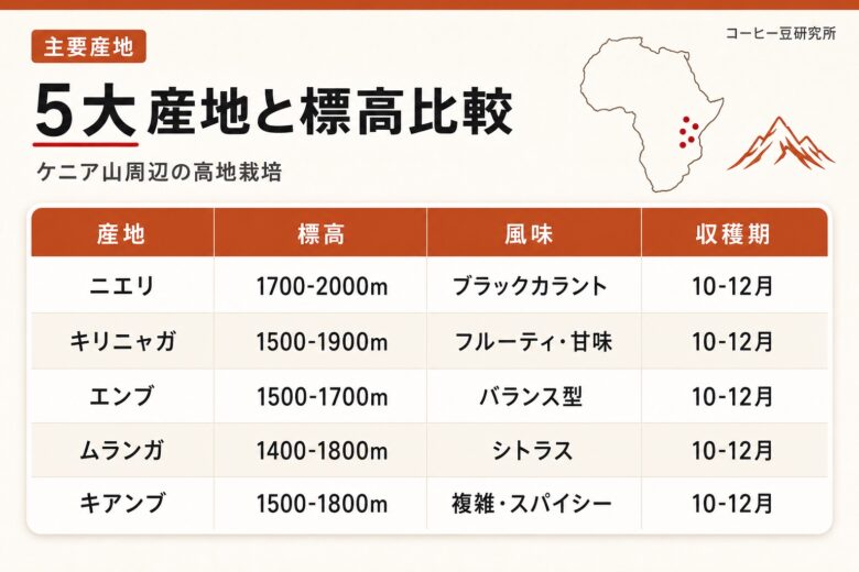 ケニアコーヒーの5大産地と標高比較