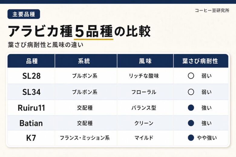 ケニアコーヒーの主要アラビカ種5品種の比較