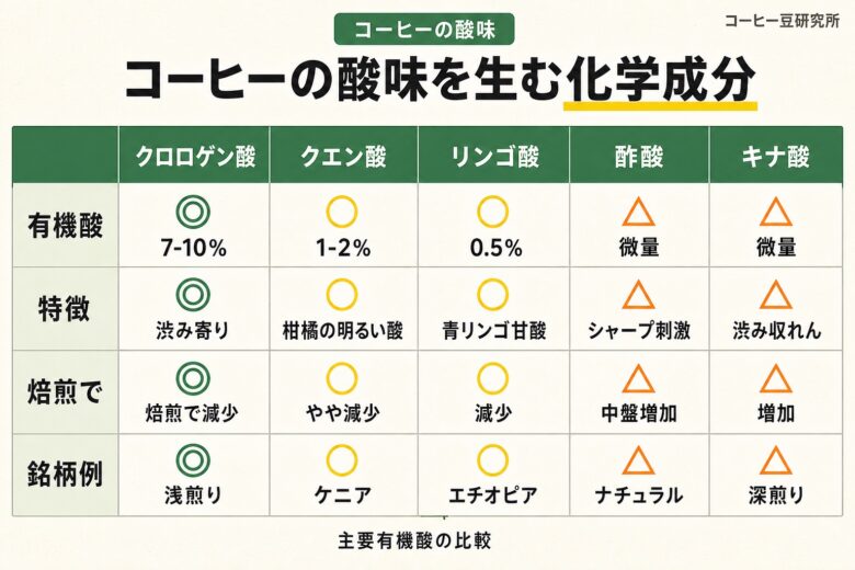 コーヒーの酸味を生む化学成分5種類 図解