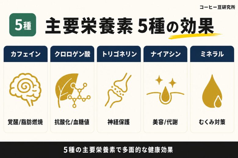 コーヒーに含まれる主要栄養素5種の効果と摂取量