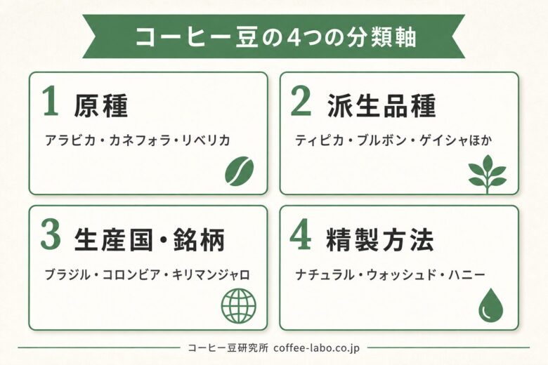 コーヒー豆の種類は4軸と三大原種で整理できる