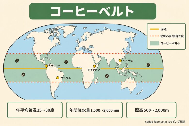 コーヒーベルト 世界の生産帯マップ