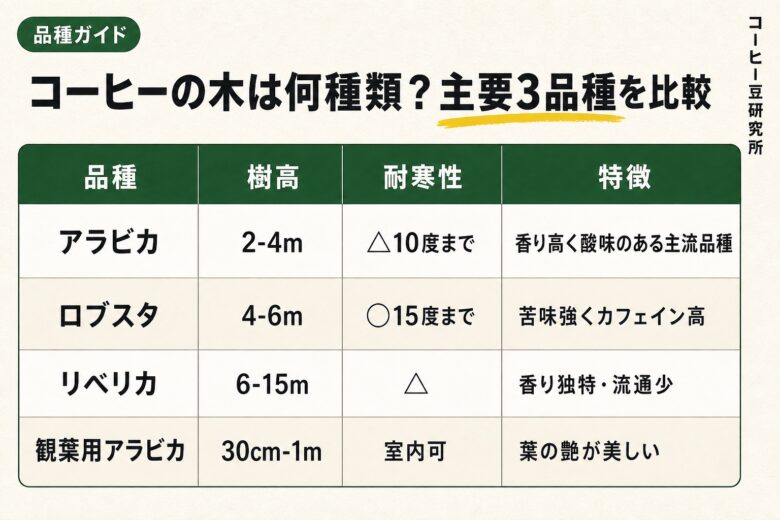 コーヒーの木の品種比較 アラビカ ロブスタ リベリカ