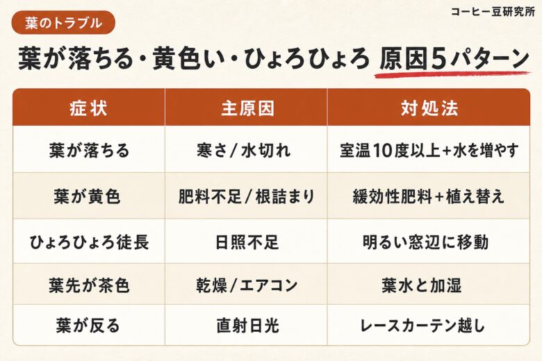 コーヒーの木の葉トラブル5パターンと対処法