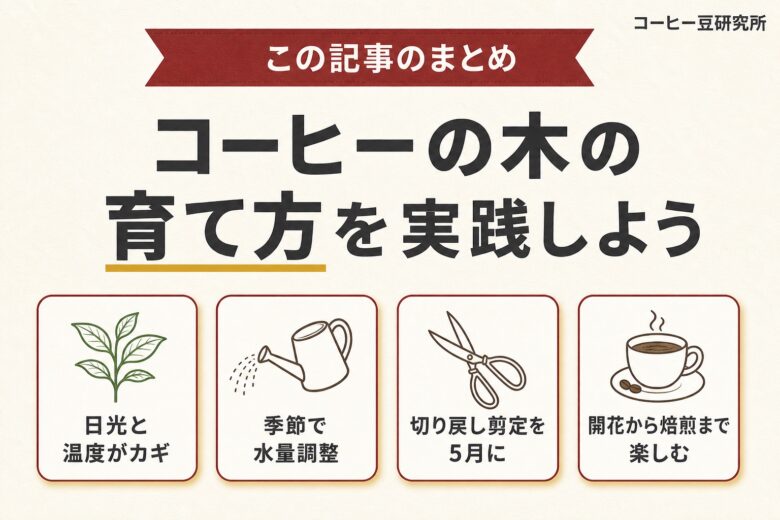 コーヒーの木の育て方まとめ