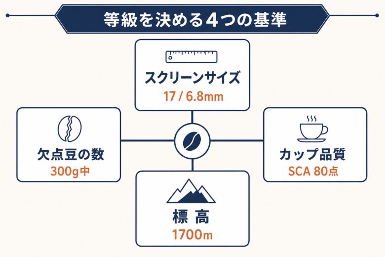 コーヒー豆の等級を決める4つの基準