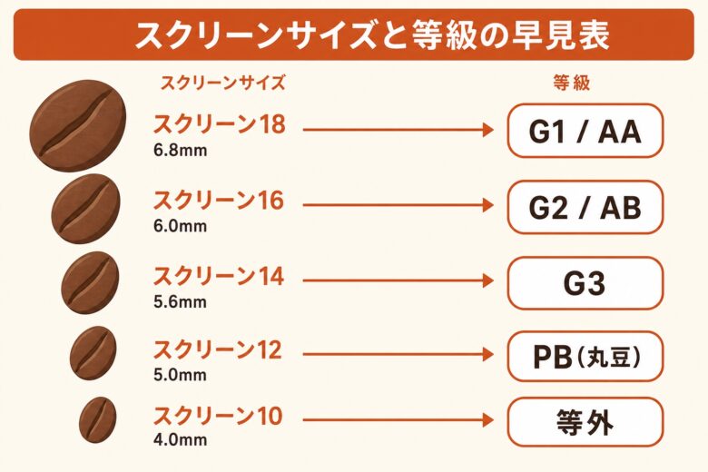 スクリーンサイズと等級の早見表