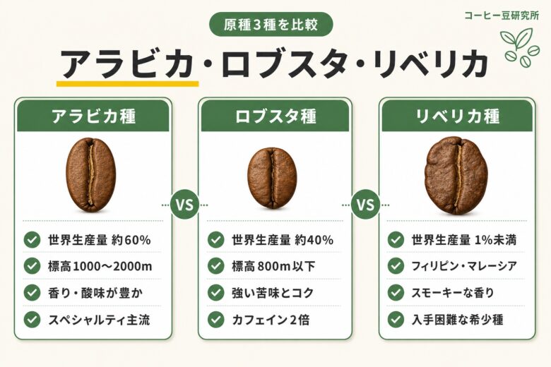 アラビカ種 ロブスタ種 リベリカ種 3原種の特徴比較