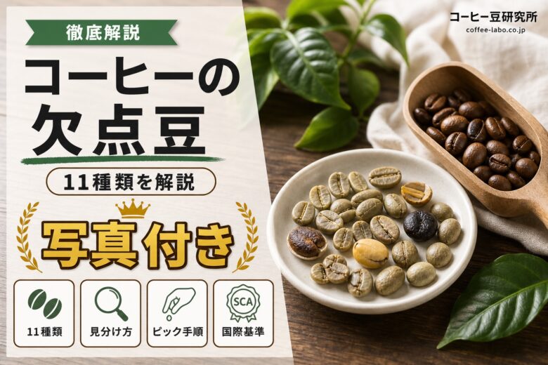 コーヒーの欠点豆11種類と見分け方 アイキャッチ