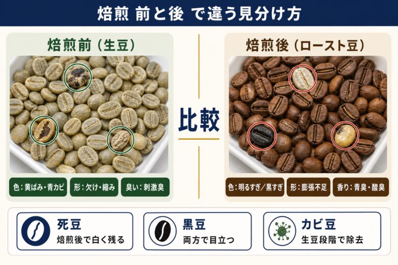 欠点豆の焙煎前と焙煎後の見分け方の対比