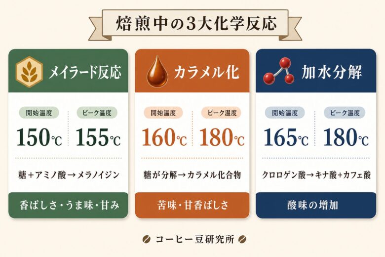 コーヒー焙煎中の3つの化学反応