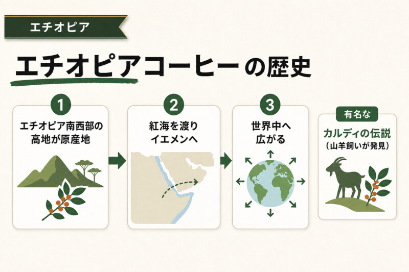 コーヒー発祥の地であるエチオピアコーヒーの歴史