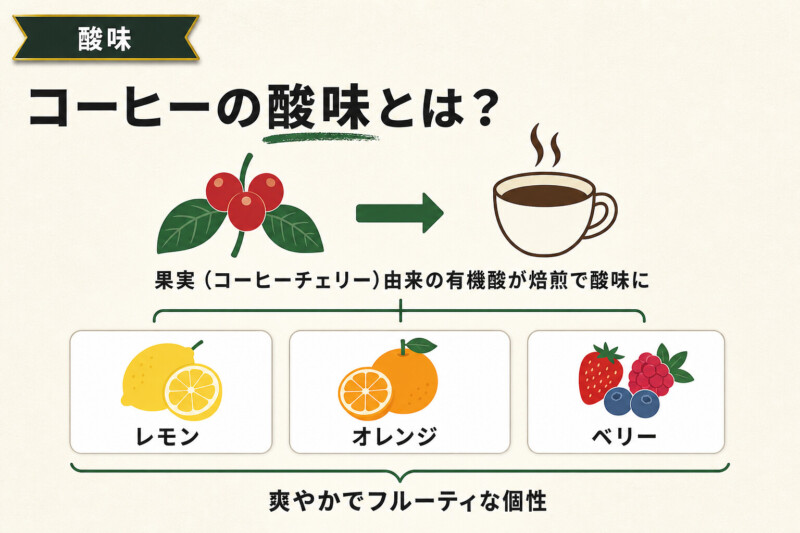 コーヒーの酸味とは?果実由来の個性