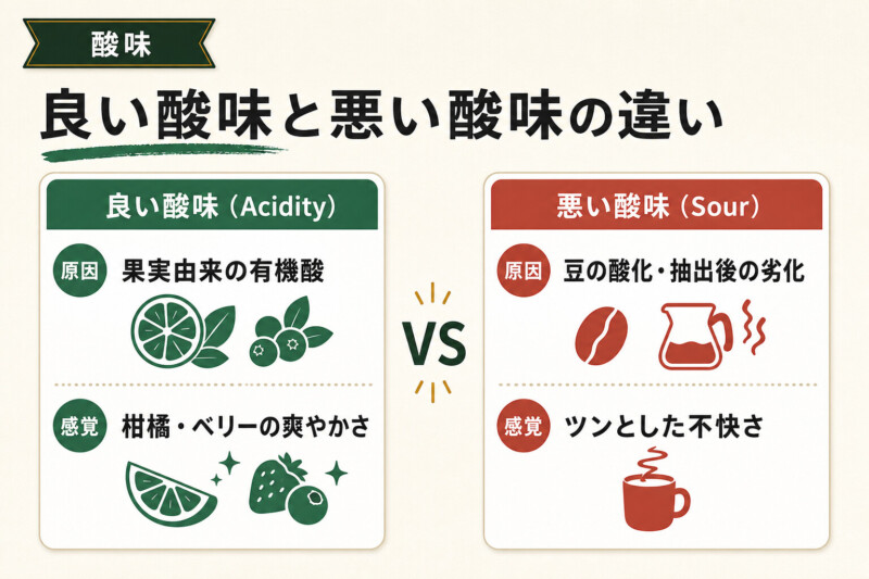 良い酸味と悪い酸味の違いを見分けるポイント
