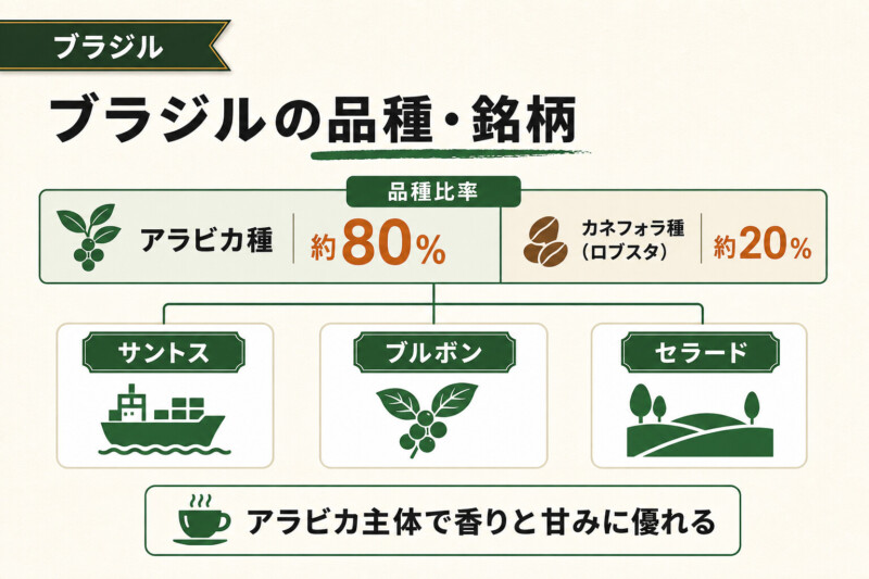 代表的なブラジル産コーヒー豆の品種・銘柄