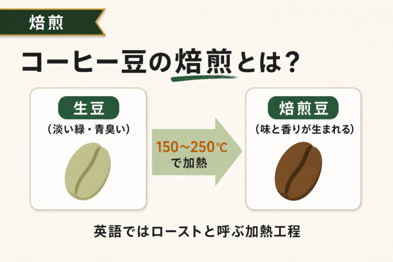 コーヒー豆の焙煎とは?基本の定義と役割